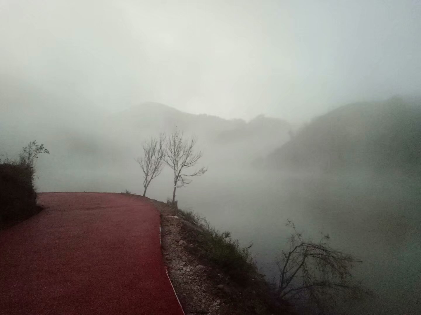 湖边大雾