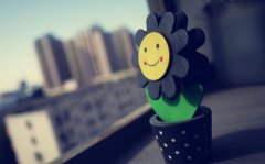 <b>往事悠然一笑间，不必空忧</b>