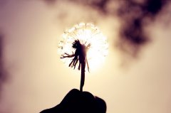 和春风谈一场恋爱