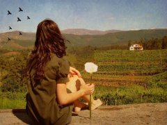 如若，我是这样的女子