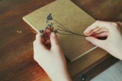 <b>热爱学习的名言</b>