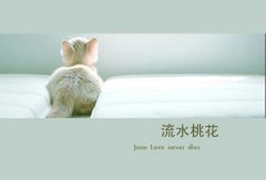 逆向思考我的伤悲