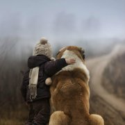 唯美可爱萌宠图片