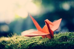 关于自信的名言警句大全