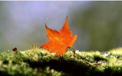 <b>你宁愿早挨打还是晚挨打</b>