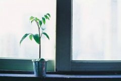 太过在乎是失去的开始