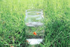 <b>关于生活哲理的名言</b>