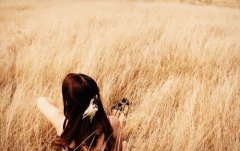 一句话一段情一张美图，经典语录