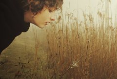 生活心情短语人生感悟