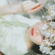 没说再见的永别