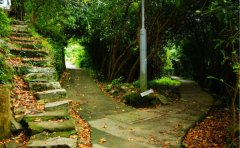 <b>身处逆境，也可以走出一条向上的路来</b>