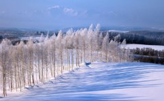 冬眠，是一种凝聚力量沉淀心灵的技能