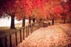 在最美的路上，有你陪着我