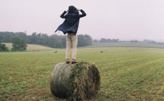 <b>青春励志格言</b>