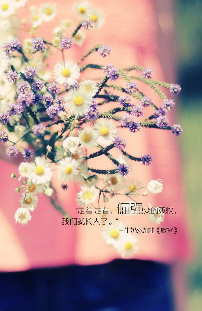 美文美图带文字