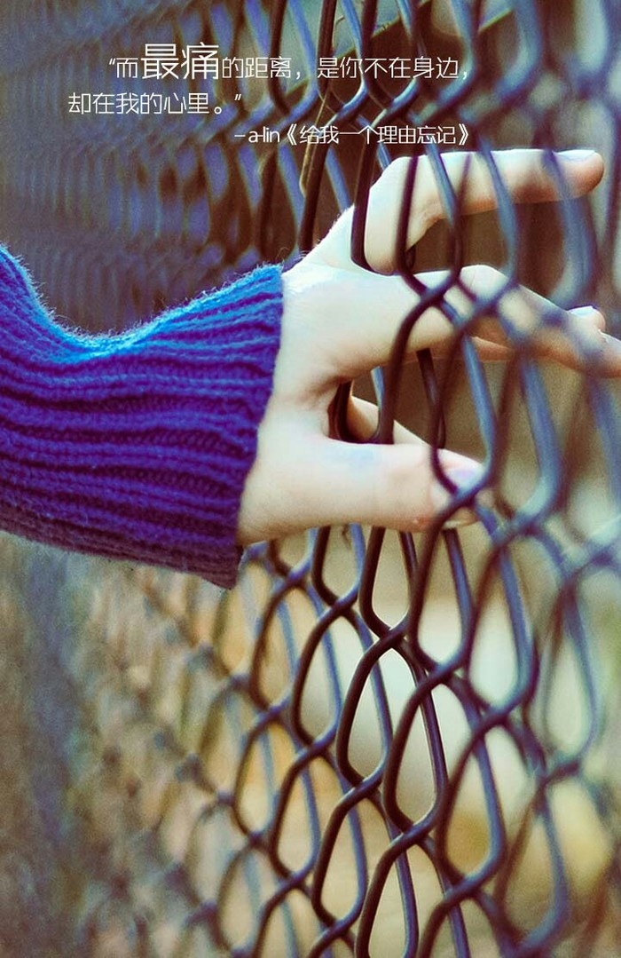 美文美图带文字