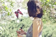 与一只蝶不期而遇