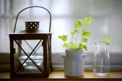 安东尼经典语录大全