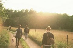 2016感悟人生的十句话