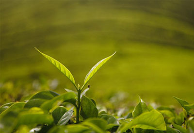 帮你成长的10个残酷事实！