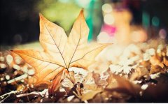 生命总是很脆弱，经不起一些折腾