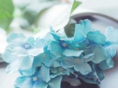 <b>一辈子很短也很累</b>