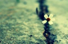 那些阻挡你的人，也许正在助推你实现人生的飞跃