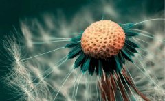 人生应该如蜡烛一样，从顶燃到底