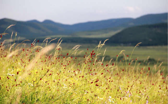 唯美照片,优美风景