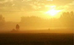 关于劳动的名言