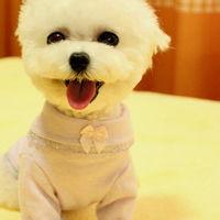 动物头像图片大全17