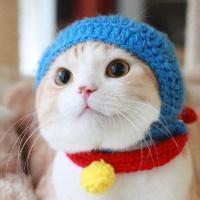 动物头像图片大全2