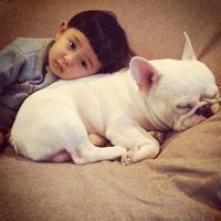 动物头像图片大全7