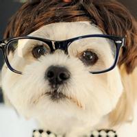 动物头像图片大全24