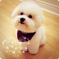 动物头像图片大全20