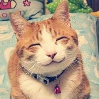 动物头像图片大全6