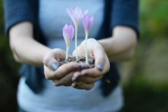 住在母亲温暖的手心里