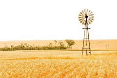 关于真理的名言