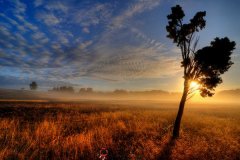 关于国家的名言