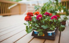 <b>多少浅浅淡淡的转身</b>