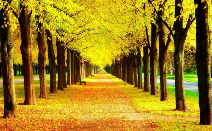 你就是一座宝藏