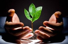 比薪水更宝贵的东西