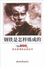 钢铁是怎样炼成的