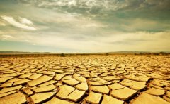 从来没有真正的绝境