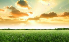 髙原有朵你做的云