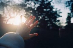 左手倒影，右手年华