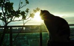 看得太远，未必就好!