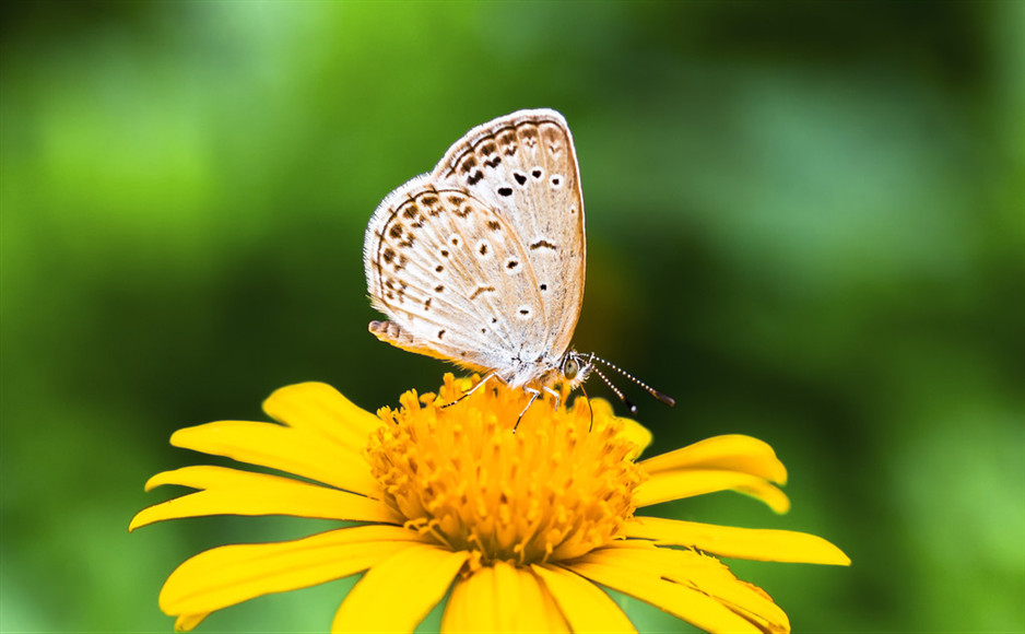 如果没有你如此的良辰美景让我去向何人诉说