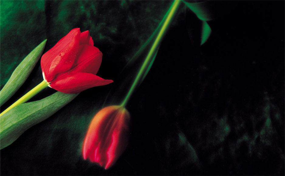 活着就是为了改变世界