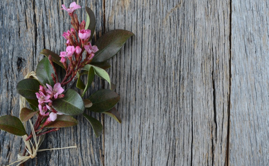 只求曾经拥有不求天长地久